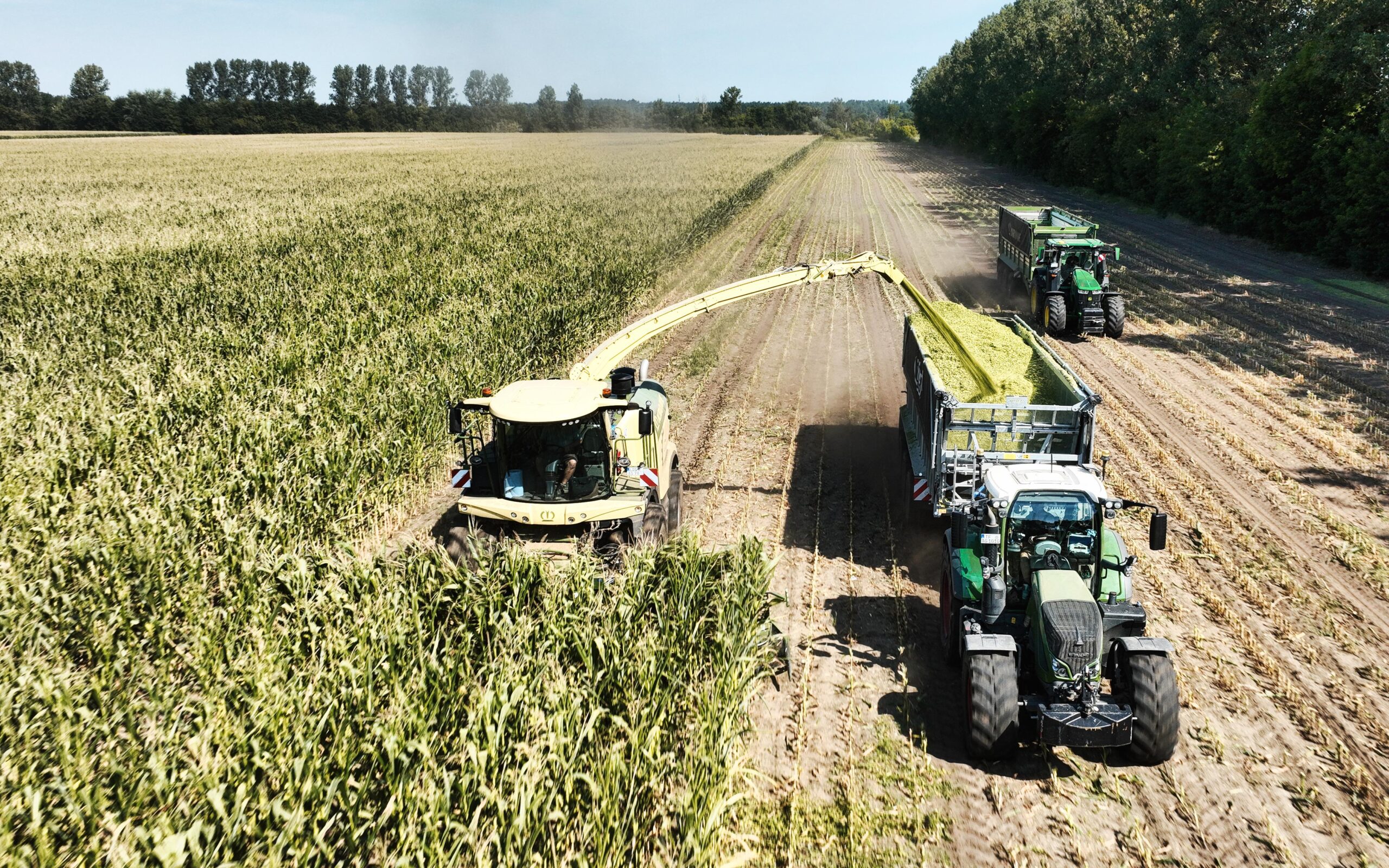 Profitreff-Feldtag bei der Agrargenossenschaft Trebbin eG
